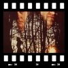 Cover The vanishing - Scomparsa