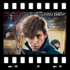 Cover Fantastic beasts and where to find them