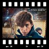 Cover Fantastic beasts and where to find them