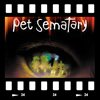 Cover Pet sematary