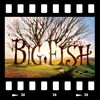 Cover Big fish