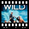 Cover The river wild