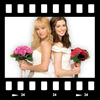Cover Bride wars