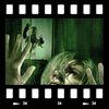 Cover REC