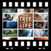 Cover The tree of life