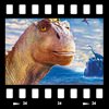 Cover Dinosauri