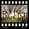 Cover Big fish - Le storie di una vita incredibile