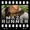 Cover The maze runner